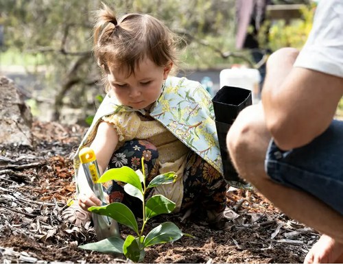 Matilda plants her first Golden Wattle at the Australian National Botanic Gardens