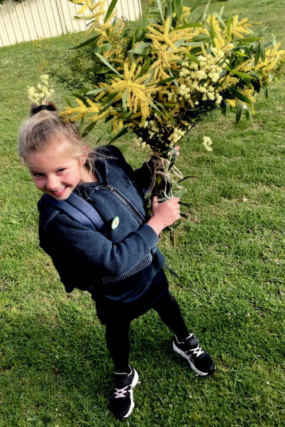 Why do we celebrate National Wattle Day? Wattle Day