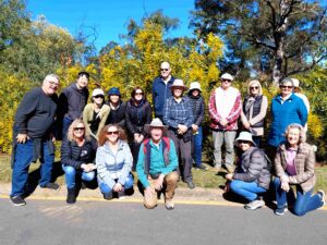 Wattle Walk Mt Coot-tha Botanic Garden Brisbane July 2024