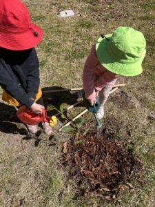 ACT Gordon school planting 2023