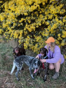 Pip dog and Wattle